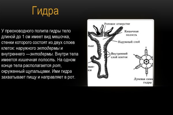 Как зайти в кракен торе