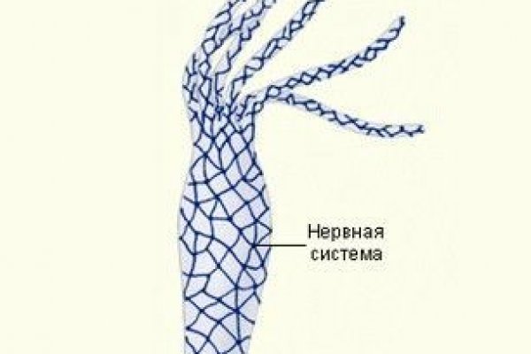 Сайты по продаже наркотиков