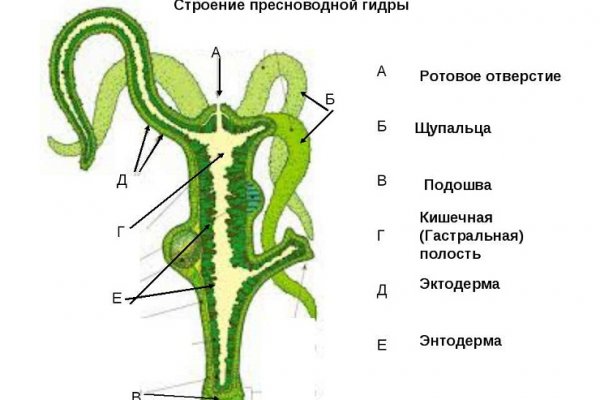 Кракен даркнет площадка