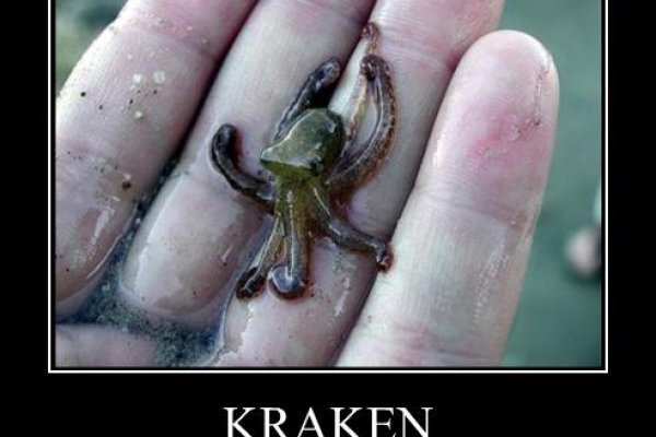 Kraken17 at