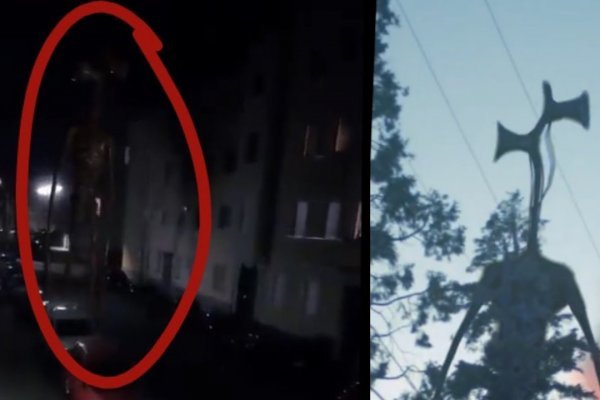 Что за приложение кракен