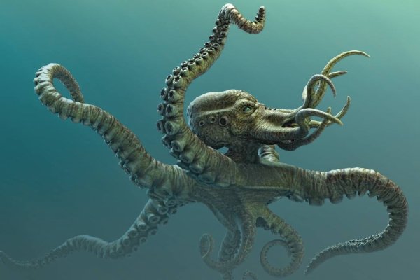 Kraken20at